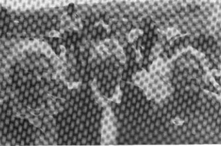 peg_lyons_monica_ryan_mavis_christensen