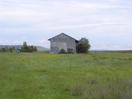 Grain Shed 4