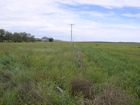 Towards Grain Shed